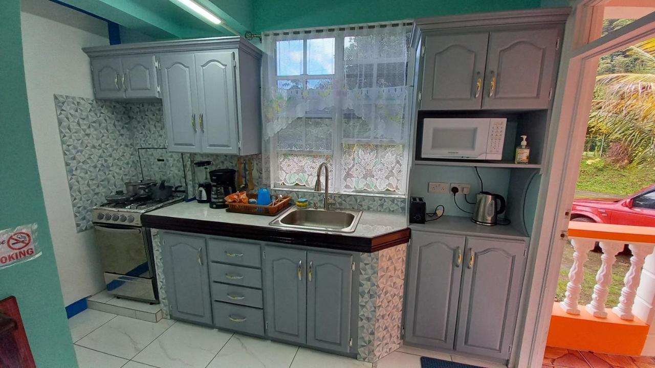 Cozy Vacation Retreat With Free Parking Apartment Roseau Exterior photo